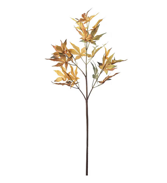 Lønn kvist oransje 72 cm