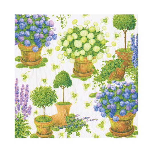 Napkin lunch Potted hydrangeas