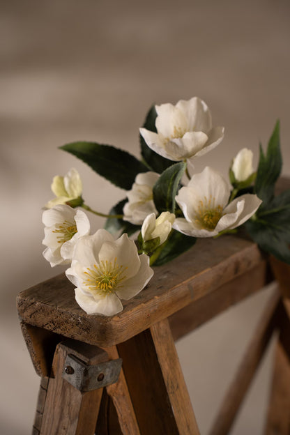 Christmas rose white 57 cm