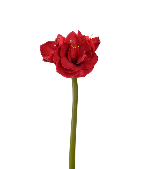 Amaryllis rød 60 cm