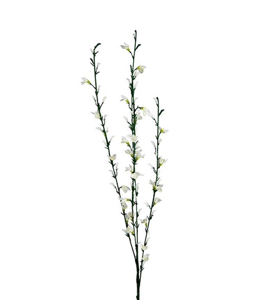Gyvel hvit 80 cm