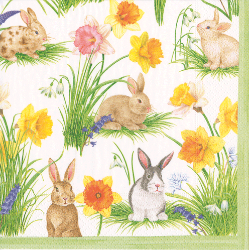 Serviett lunch bunnies and daffodils