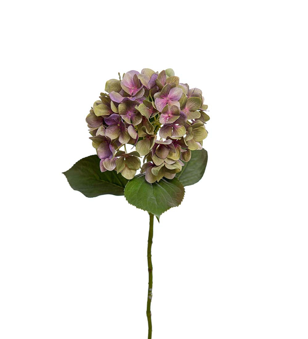 Hortensia lilla 65 cm