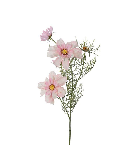 Cosmos rosa 65 cm