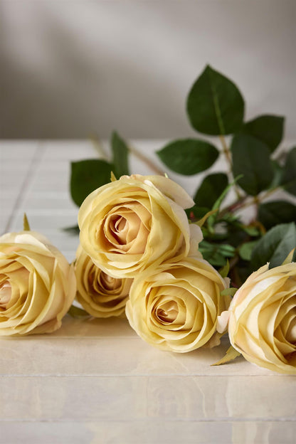 White rose 75 cm