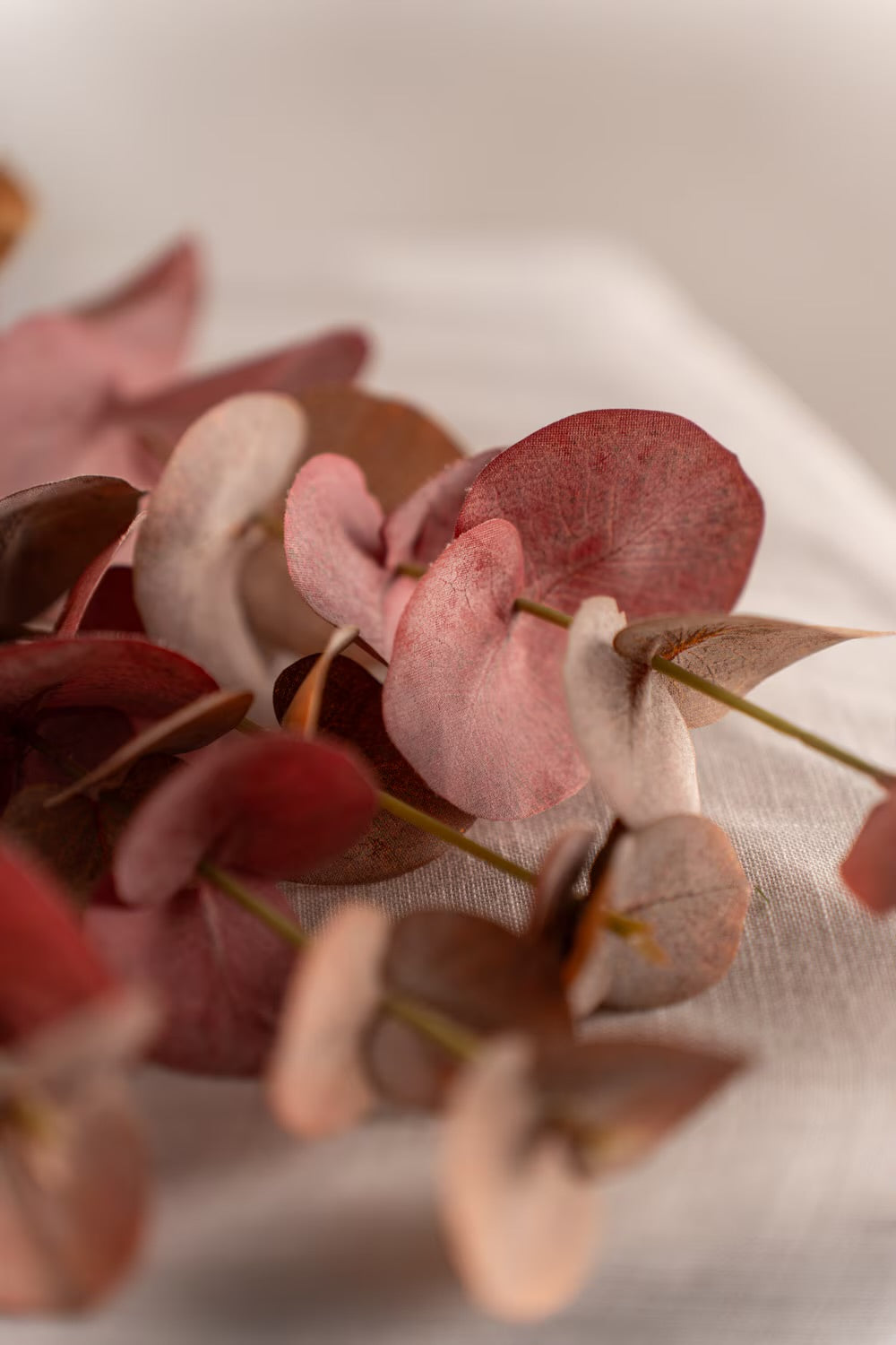 Eucalyptus rødlige toner 60 cm