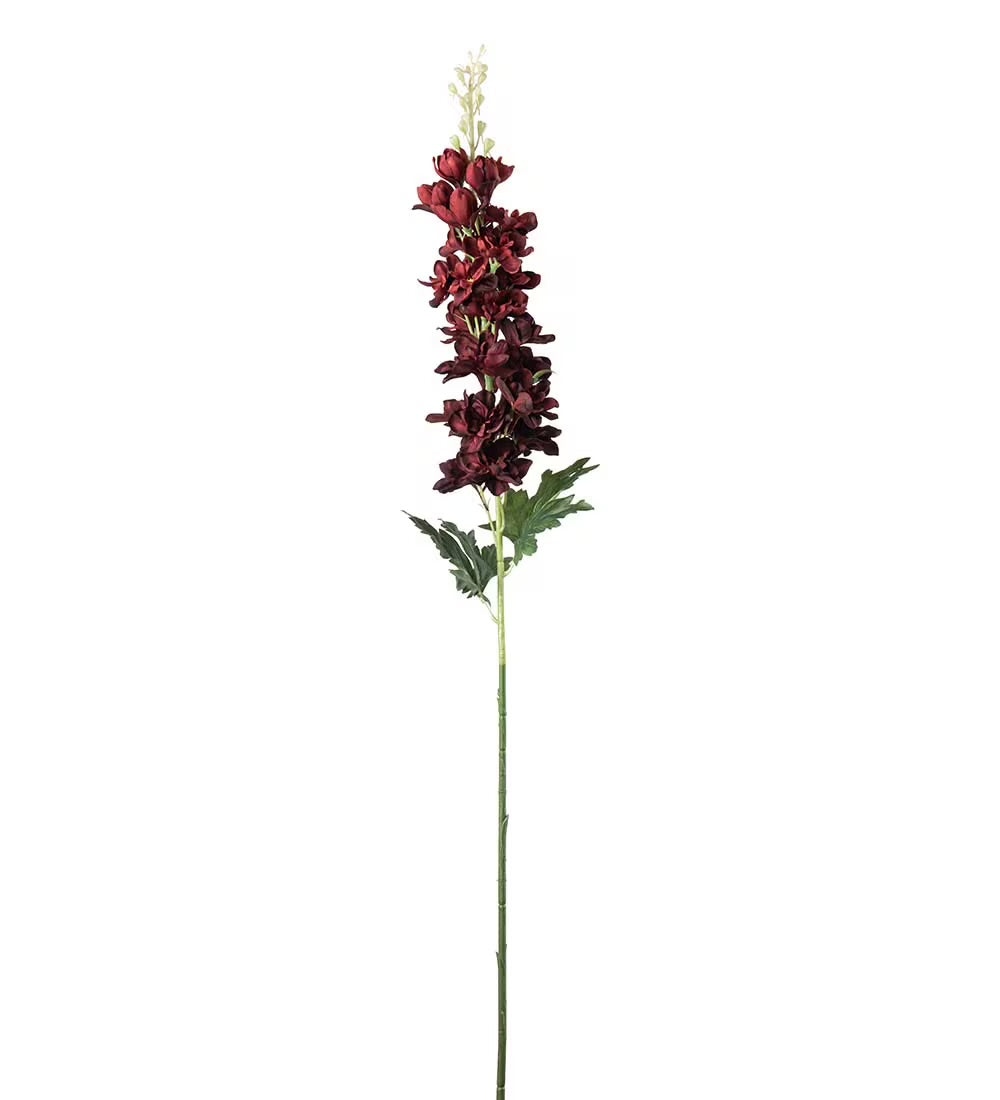 Delphinium burgunder 75 cm
