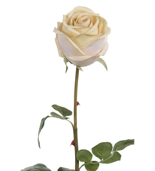 Rose hvit 75 cm
