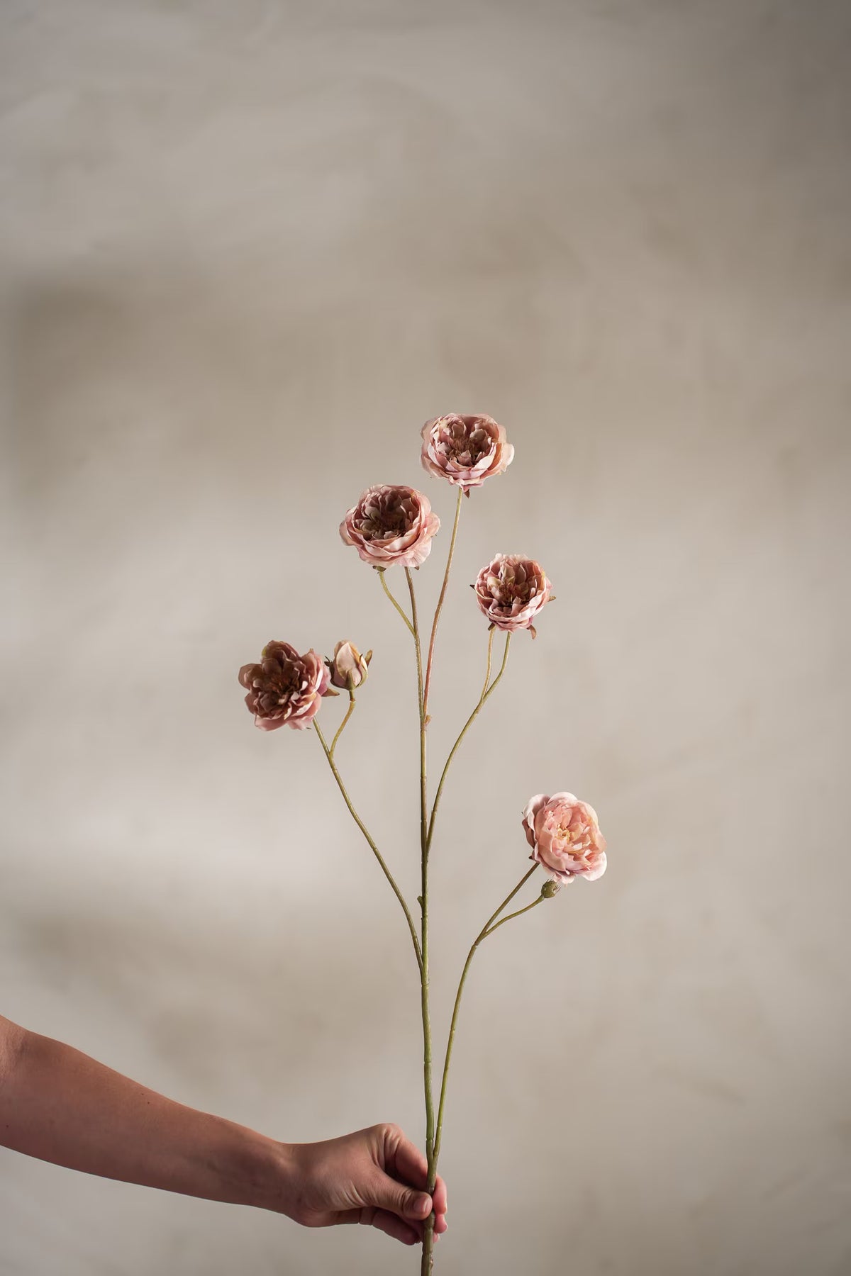 Rose rosa 105 cm