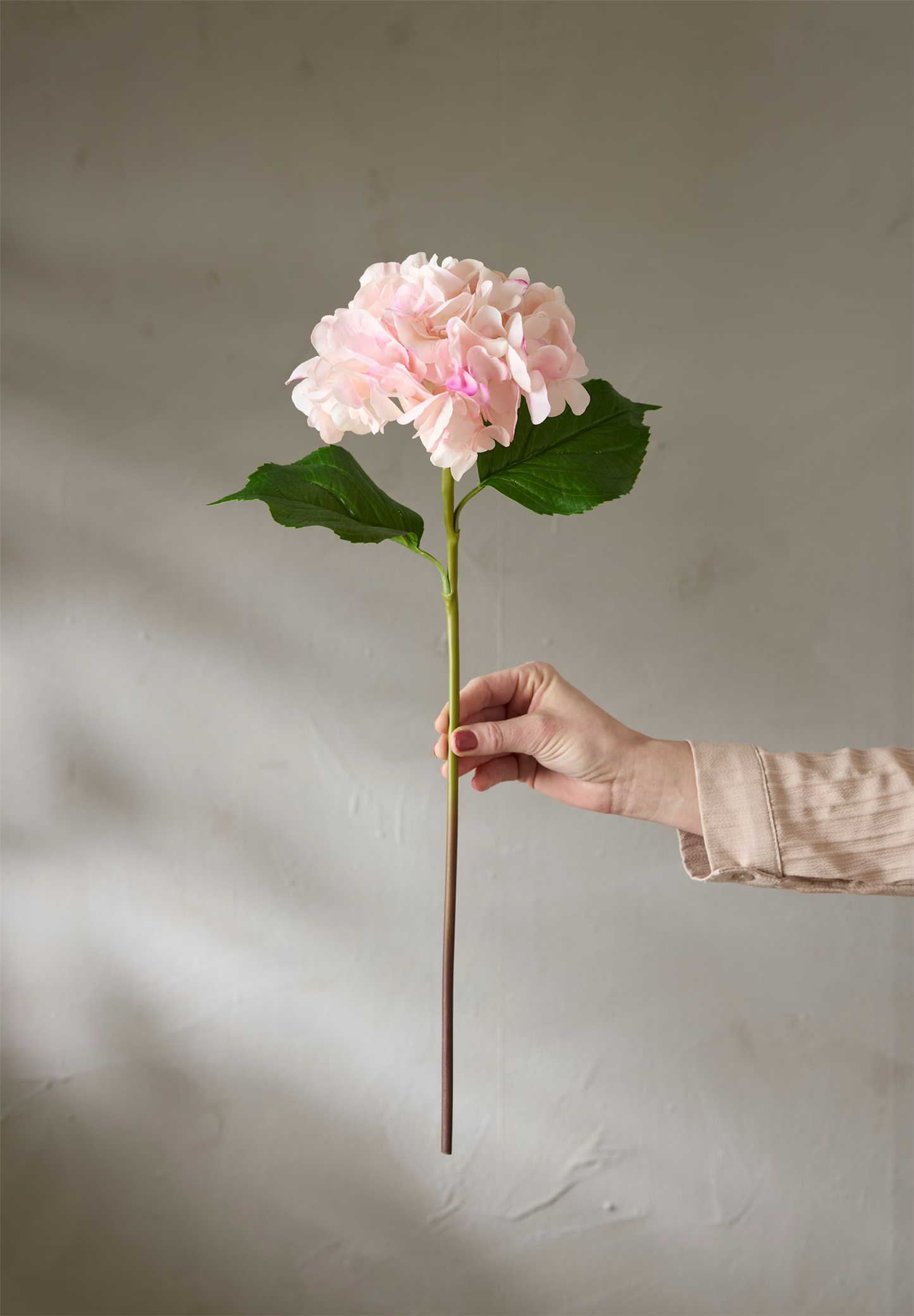 Hortensia lys rosa 55 cm
