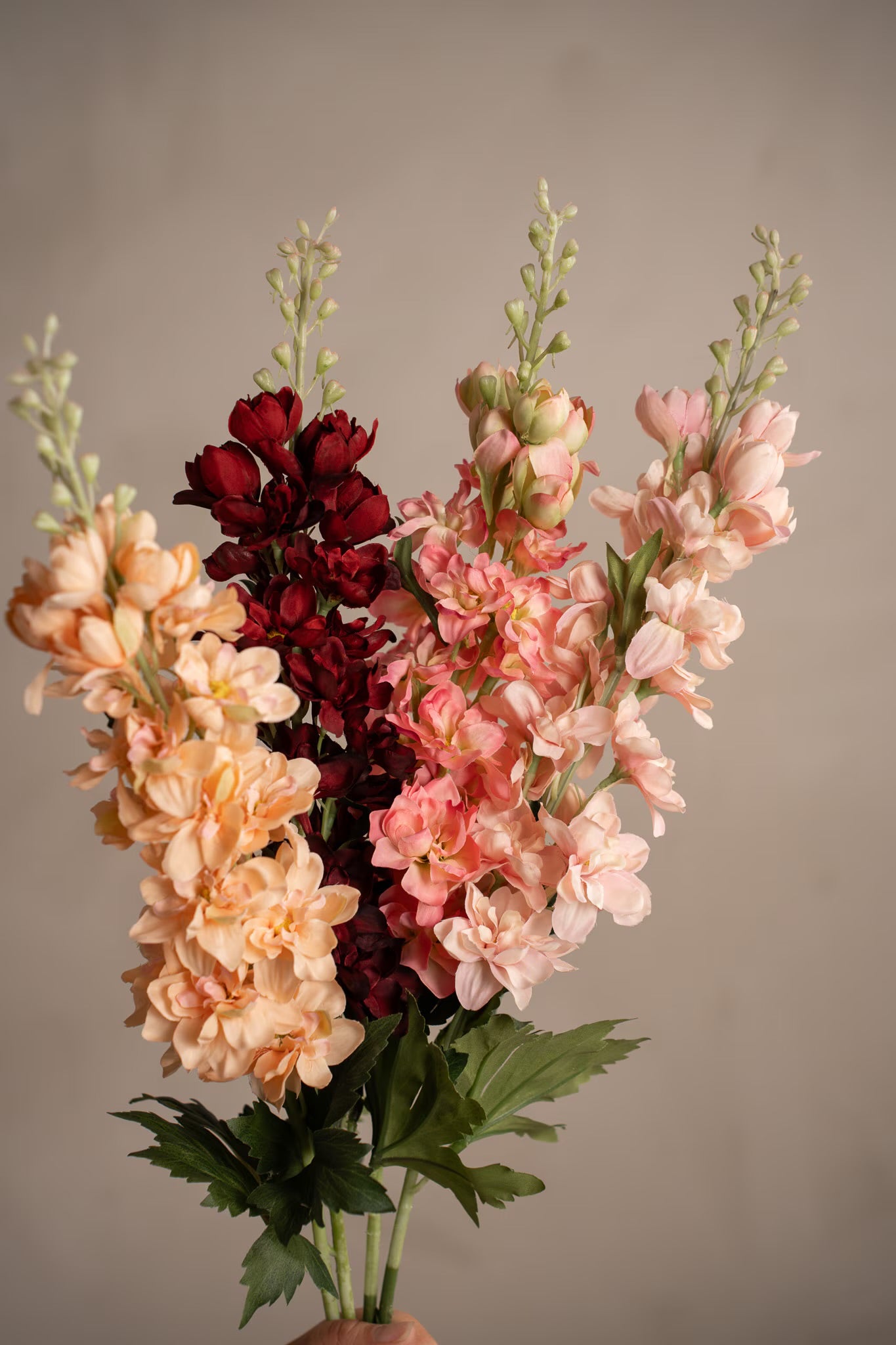 Delphinium fersken 75 cm