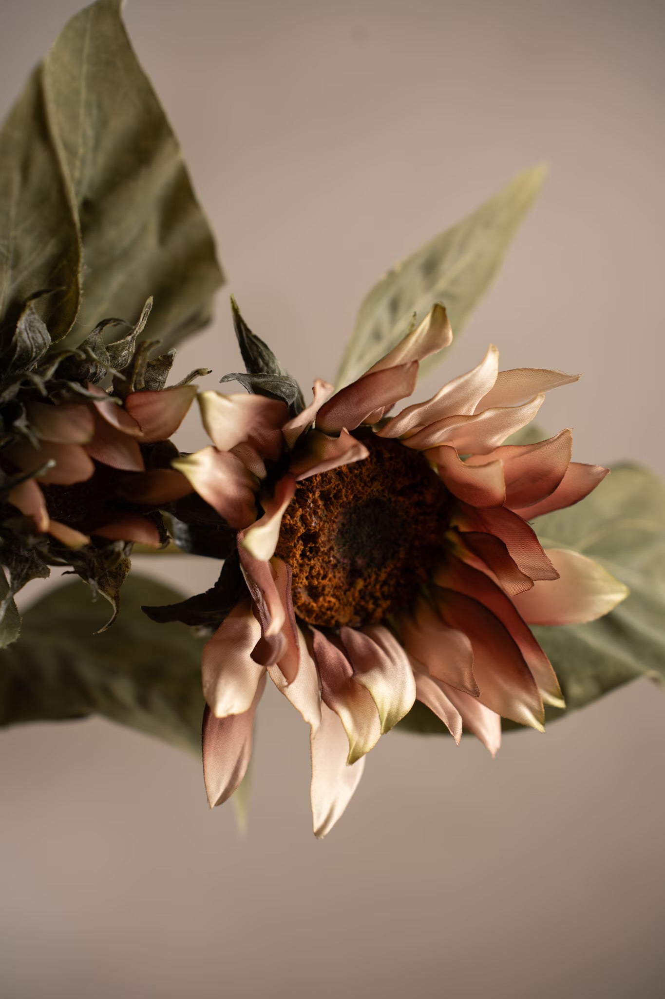Solsikke rosa 74 cm