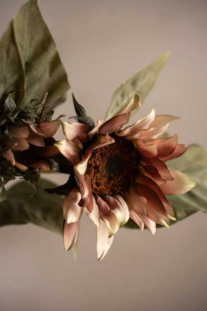 Solsikke rosa 74 cm