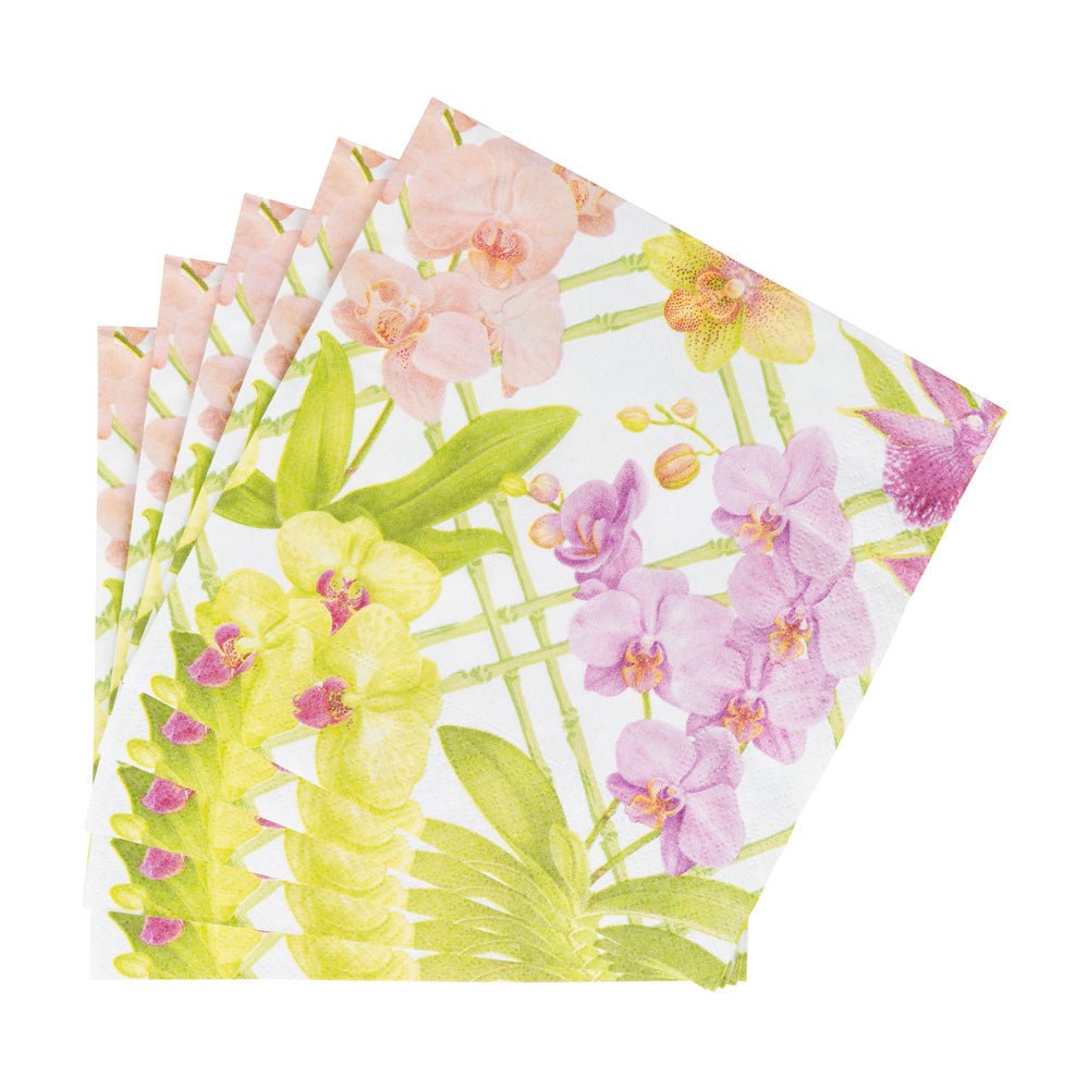 Napkin lunch Orchid conservatory