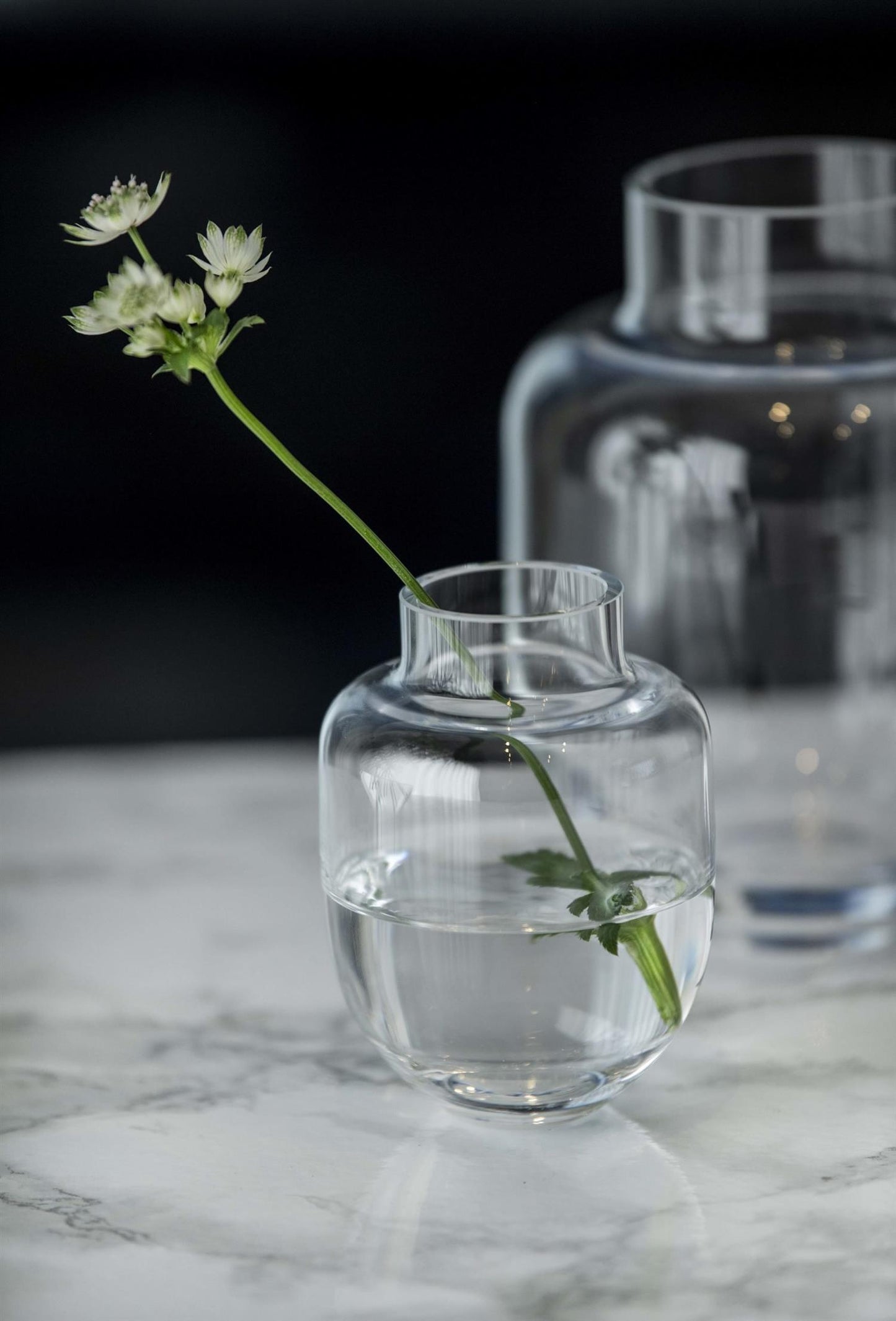 Vase Family clear 11 cm