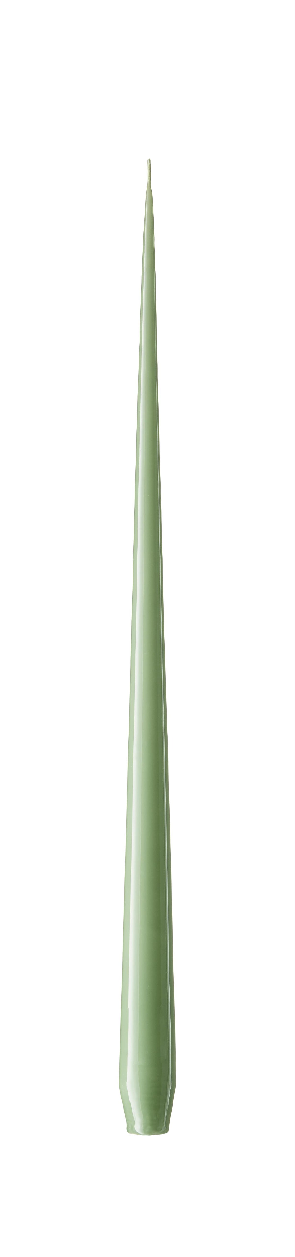 66 Eucalyptus lakklys 32 cm