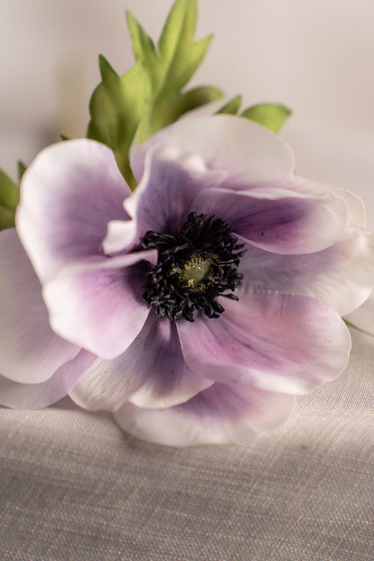 Anemone light purple 43 cm
