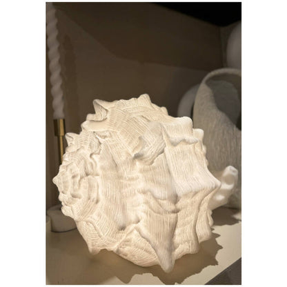 Bordlampe skjell