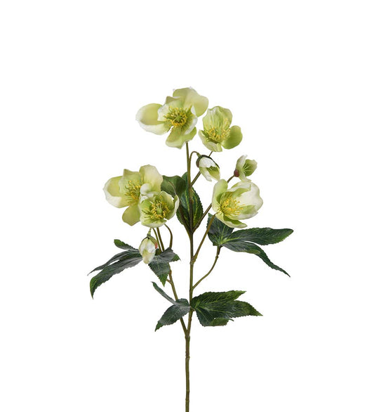 Julerose grønn 57 cm