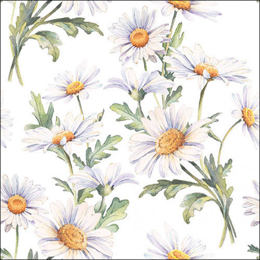 Serviett lunch Beautiful daisies white