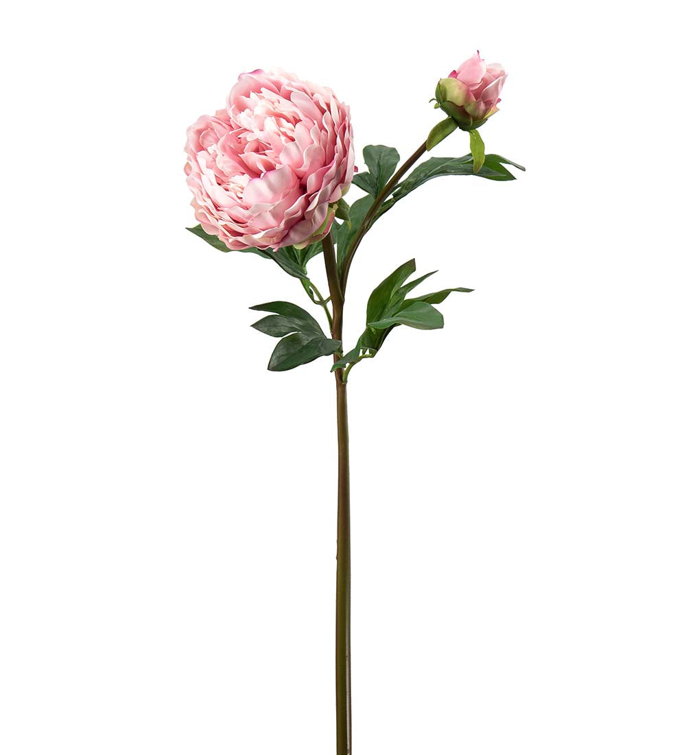 Peony light pink 65 cm