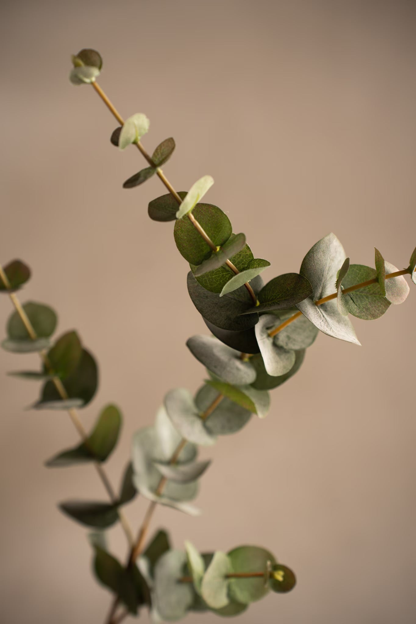 Eucalyptus grønn 80 cm