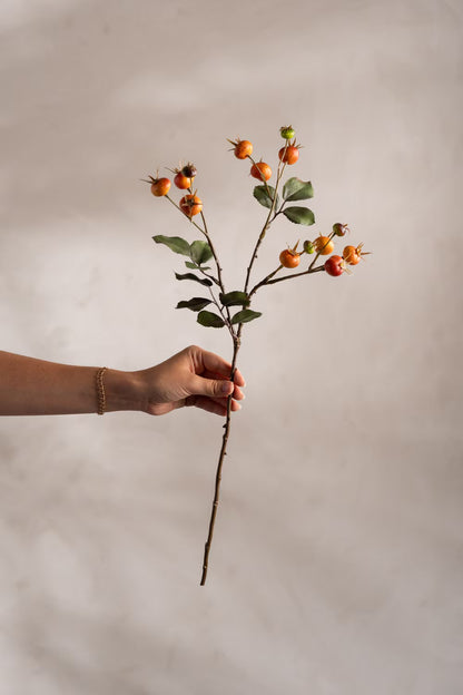 Rosehip branch orange 60 cm