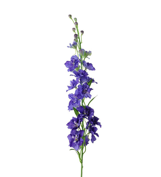 Delphinium blå 90 cm