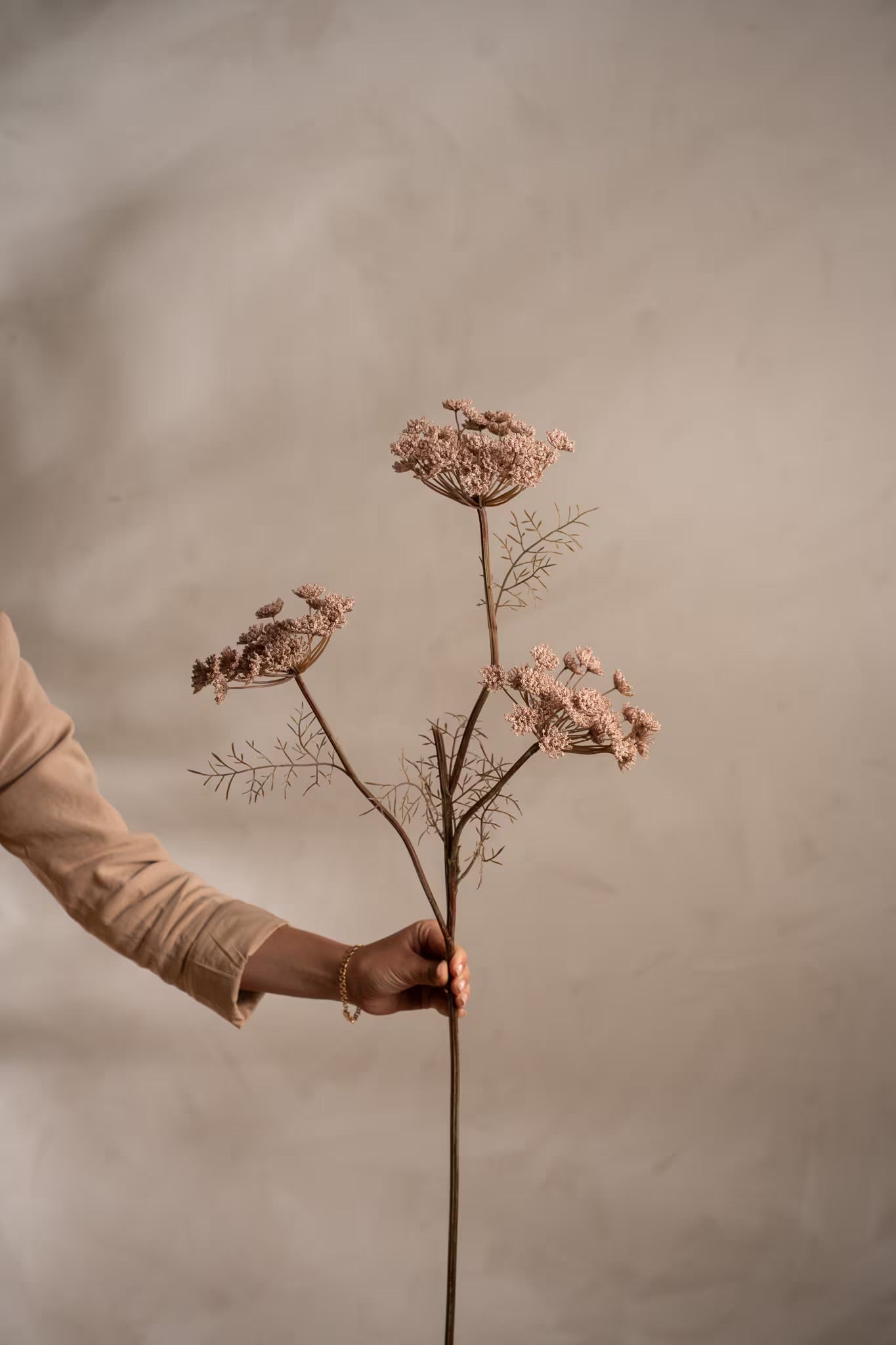 Wild Carrot pink 80 cm