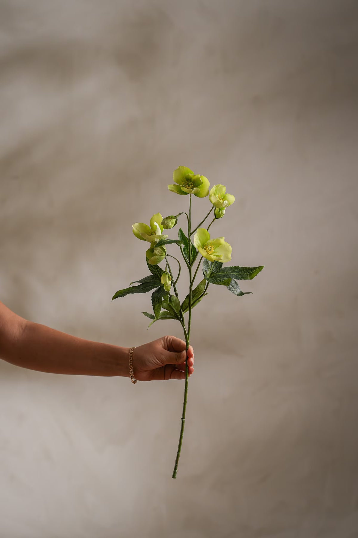 Julerose grønn 57 cm