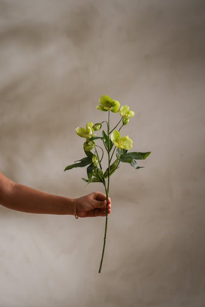 Julerose grønn 57 cm