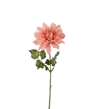 Dahlia peach pink 45 cm