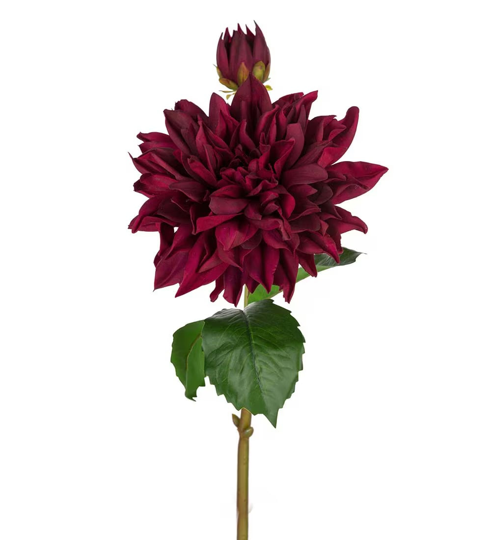 Dahlia burgundy 70 cm