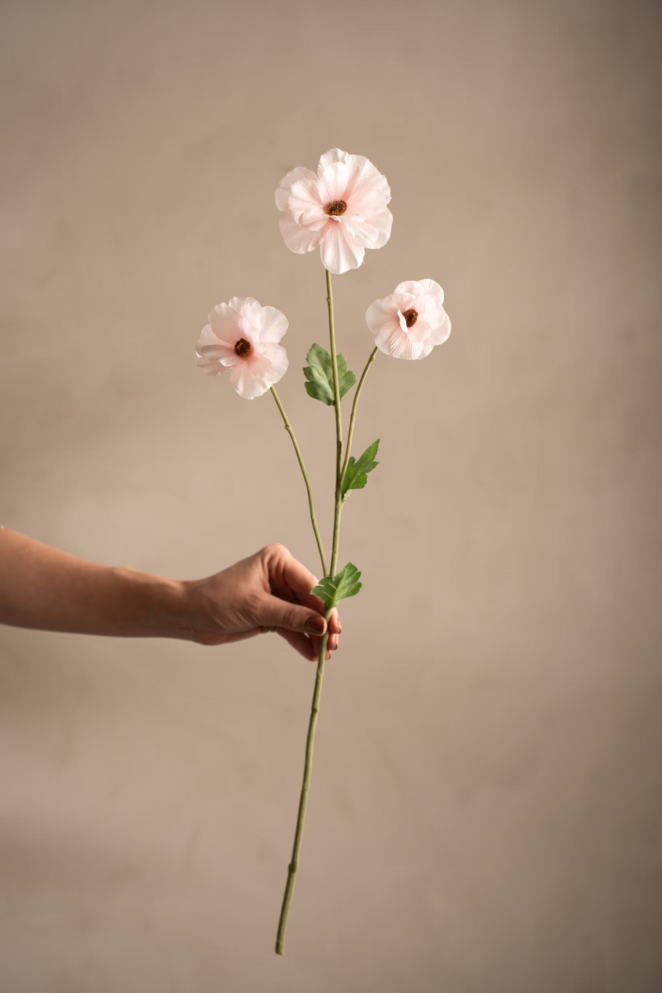 Japanese ranunculus pink 62 cm