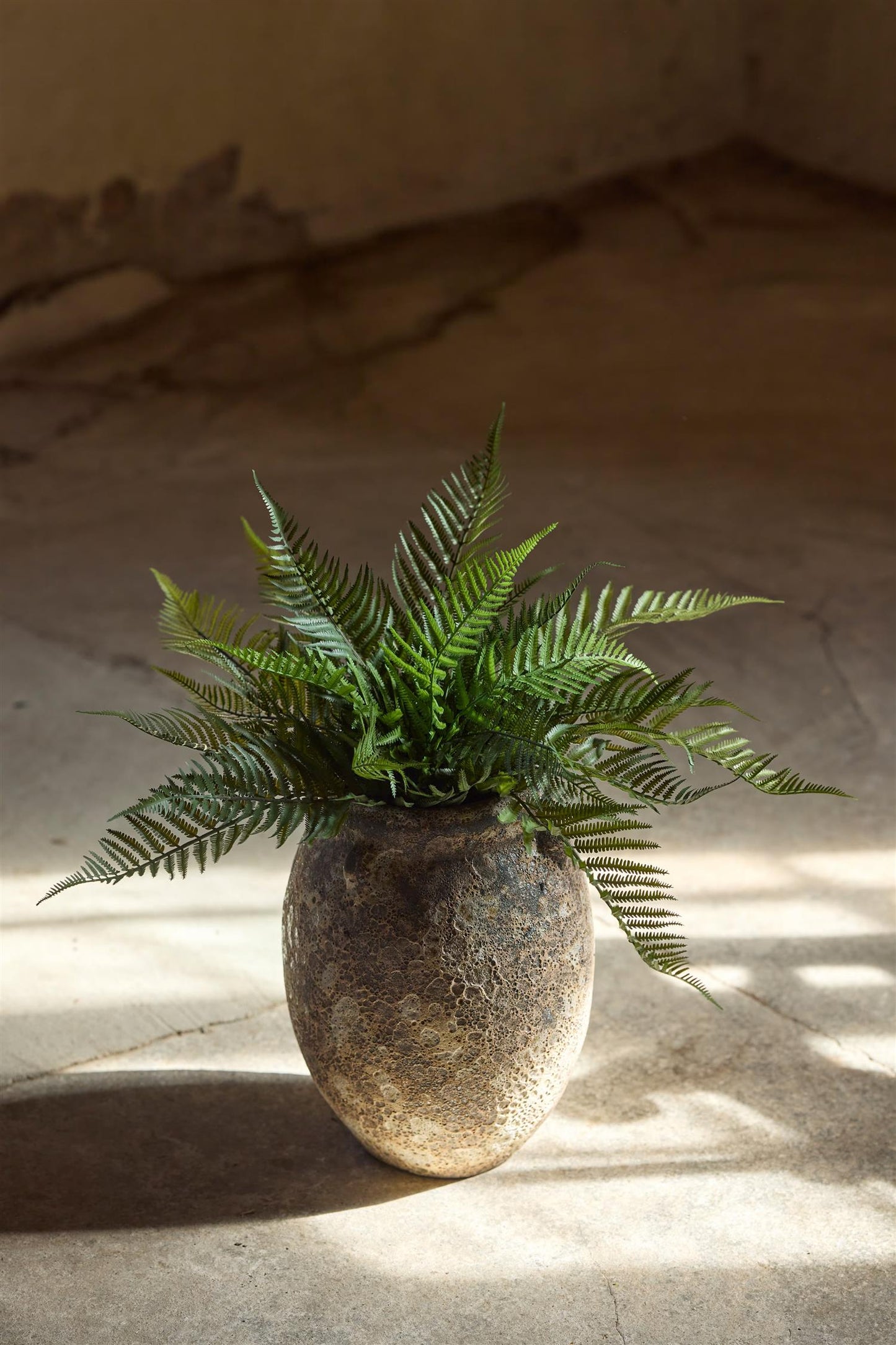 Fern in pot 50 cm