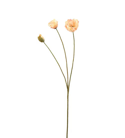 Valmue fersken 75 cm