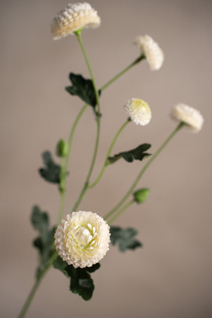 Chrysanthemum hvit 60 cm