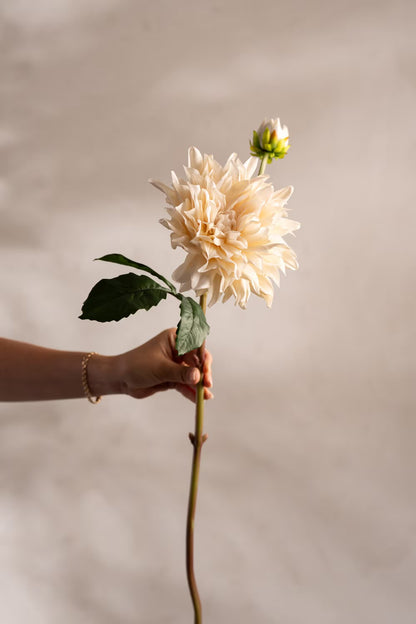 Dahlia krem 70 cm