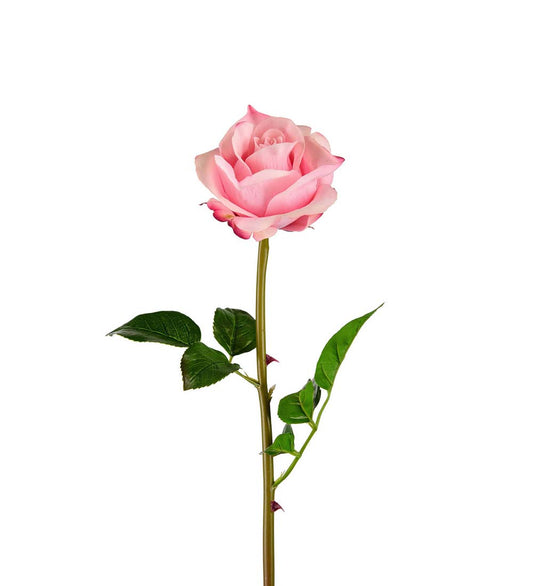 Rose rosa 65 cm