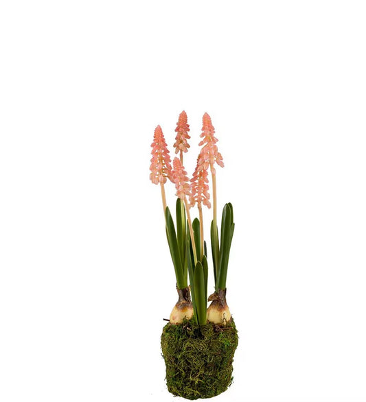 Perlehyasint rosa 25 cm