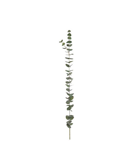 Eucalyptus grønn 120 cm