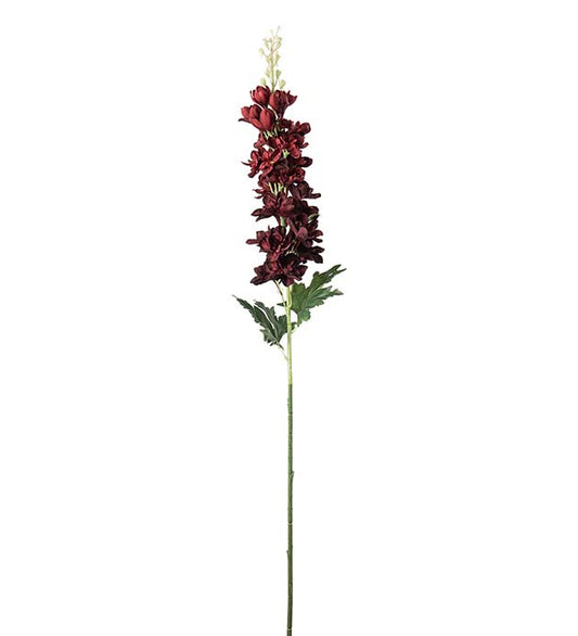 Delphinium burgunder 75 cm