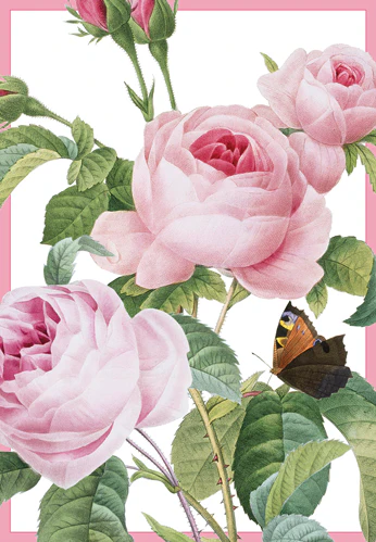 Card w/envelope Pink roses