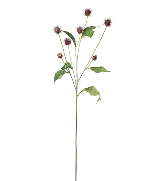 Tistel burgunder 58 cm