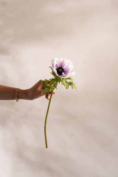Anemone light purple 43 cm