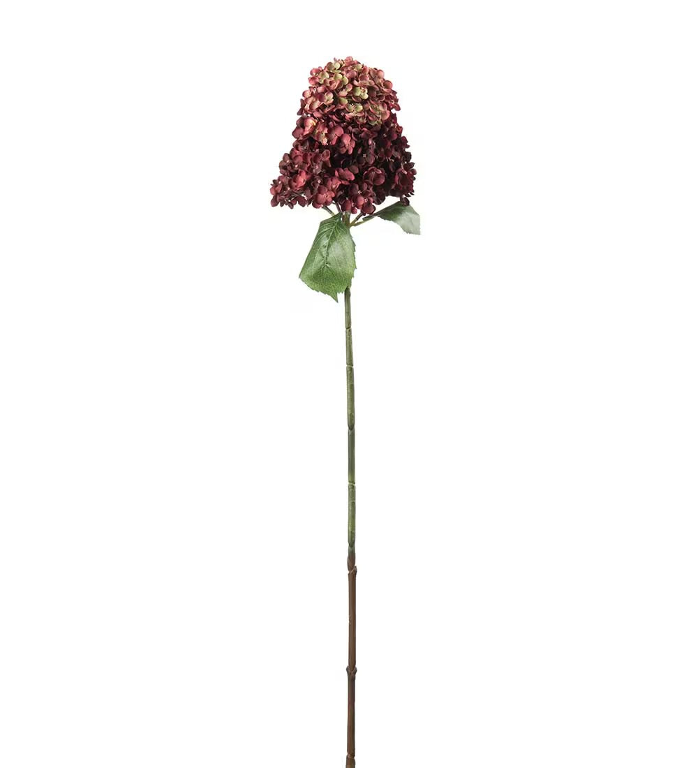 Panicle Hydrangea burgundy 84 cm