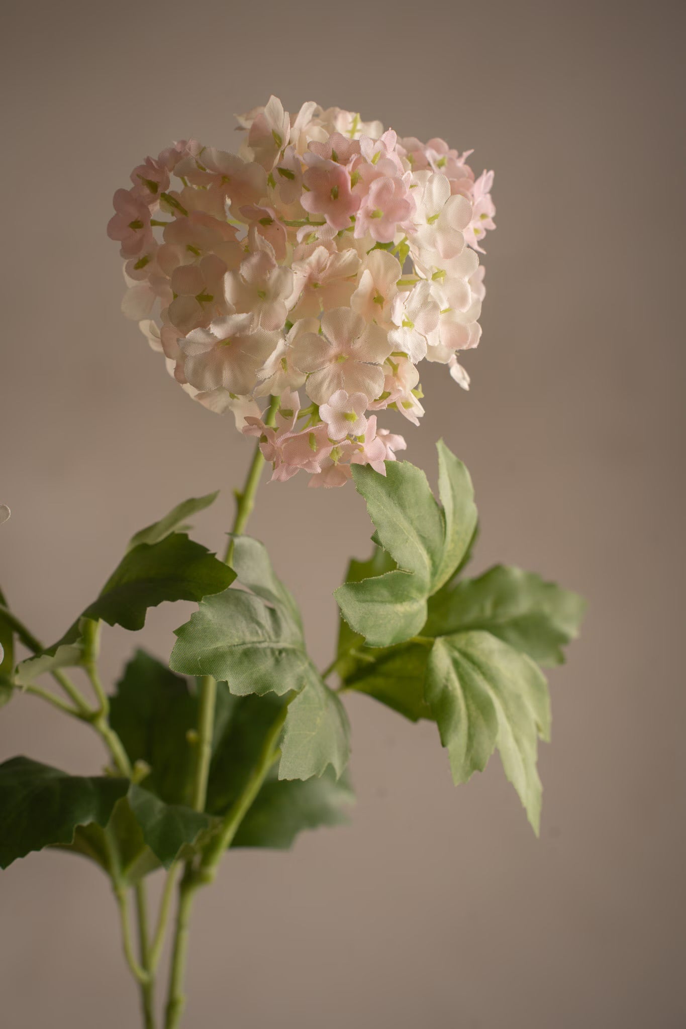 Olvon light pink 60 cm