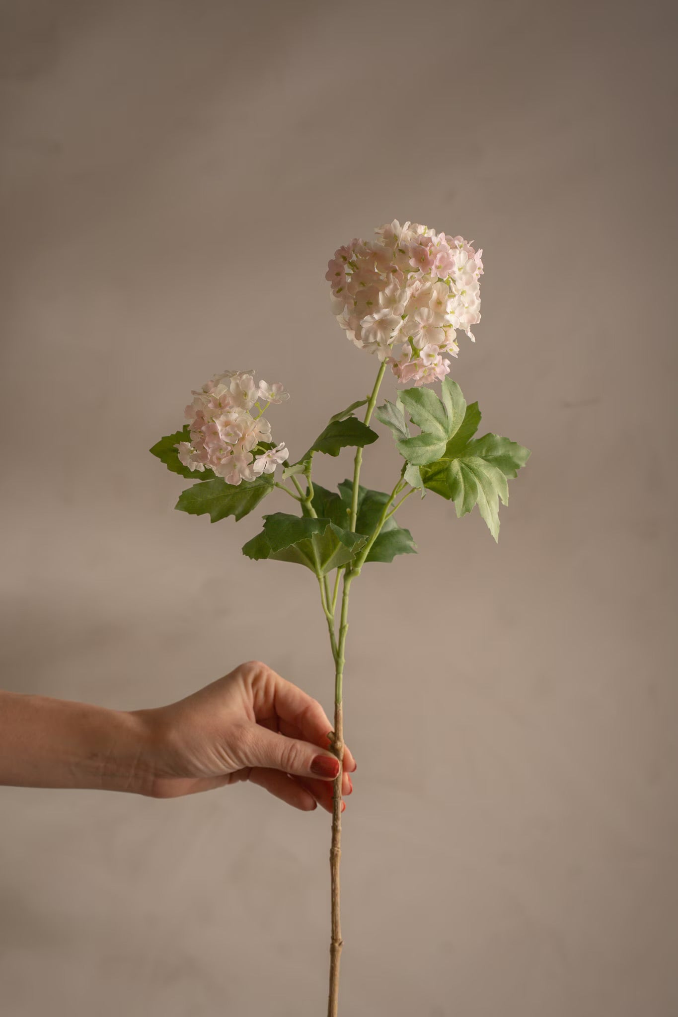 Olvon light pink 60 cm