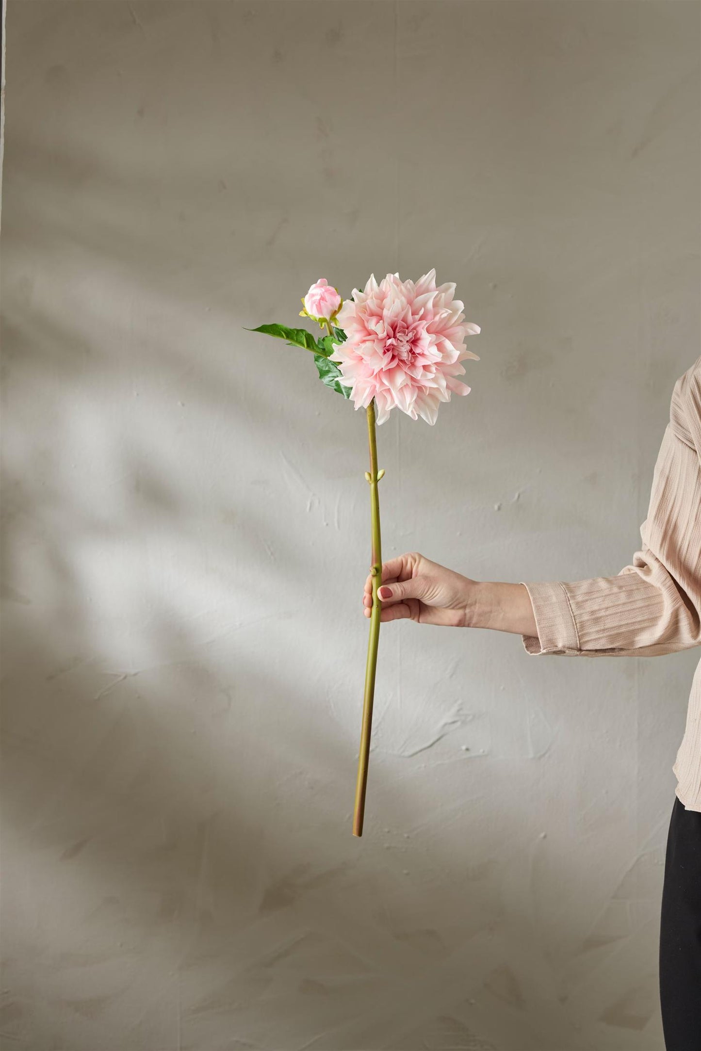 Dahlia light pink 70 cm