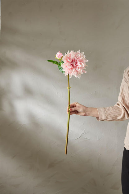Dahlia light pink 70 cm